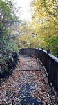 20151028_143938