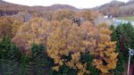 20151030_121543