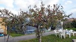 20151030_142756