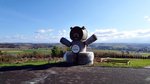 20151019_084556