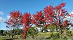 20151019_084719