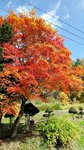 20151019_093051
