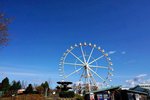 DSC07354