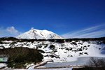 DSC07375