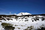 DSC07381