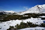 DSC07384