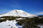 DSC07386