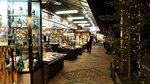 20151023_184707