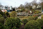 DSC06989