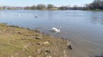 20150405_110454