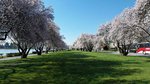 20150405_111313
