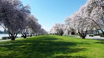20150405_111323