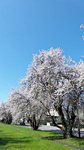 20150405_111511