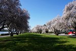 DSC06561