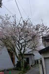 P1150554