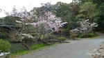 20160403_101721