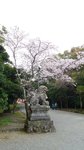 20160403_102207