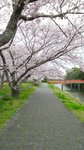 20160403_102358