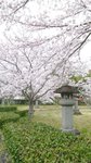 20160403_102435