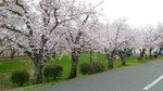 20160403_111510