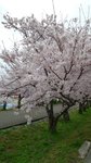 20160403_111640