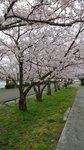 20160403_111704