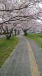 20160403_111719