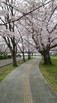 20160403_111753