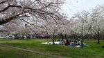 20160403_111806