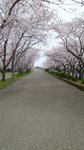20160403_111845
