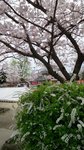 20160403_111856