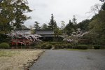 DSC09606