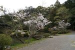 DSC09607