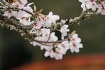 DSC09608