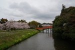 DSC09615