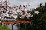 DSC09617