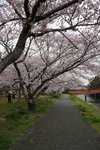 DSC09618