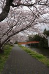 DSC09620