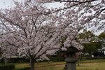 DSC09621