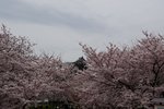 DSC09622