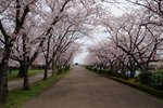 DSC09627
