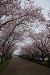 DSC09628
