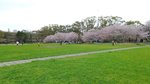 20160404_141422