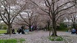 20160404_141542