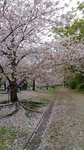 20160404_141703