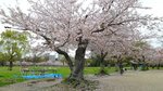 20160404_142638
