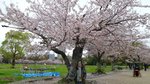 20160404_142701