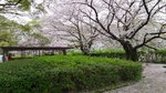 20160404_144359