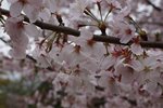 DSC09669
