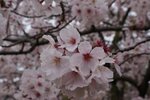 DSC09670